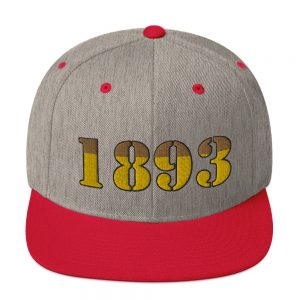 Navy chief Gold Snapback Hat